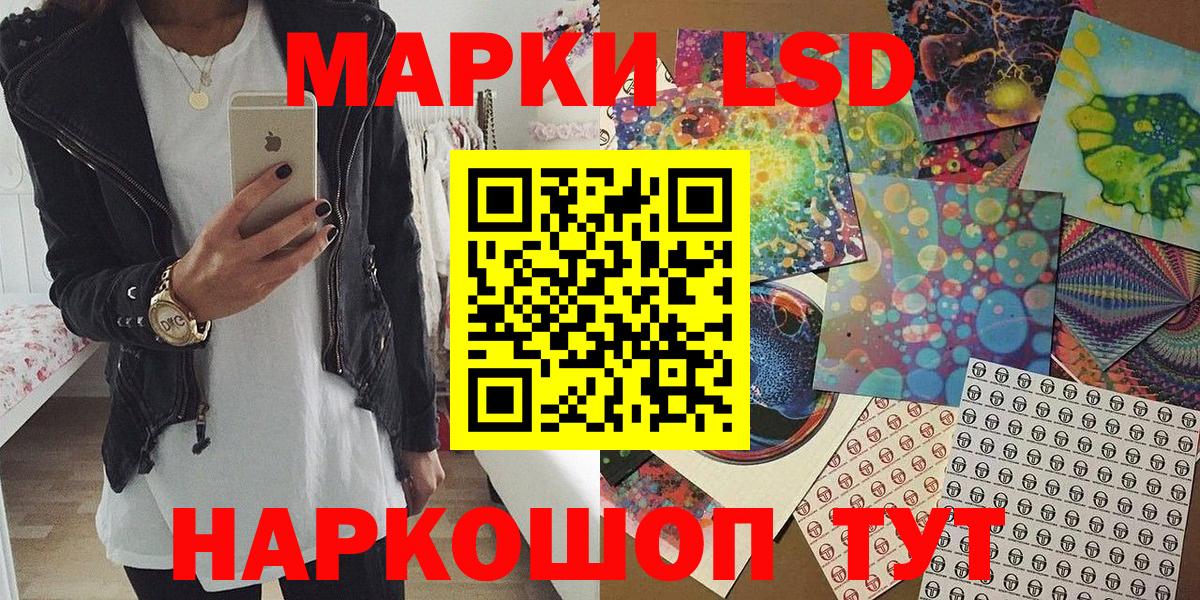 A PVP Фрязино