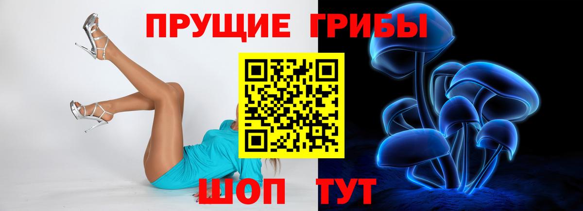 Псилоцибиновые грибы Cubensis Фрязино